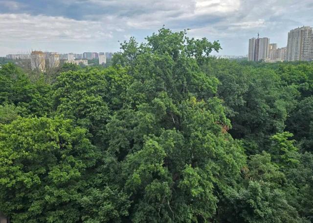 3-кімнатна квартира, Артилерійський пров. 9а — фото 10