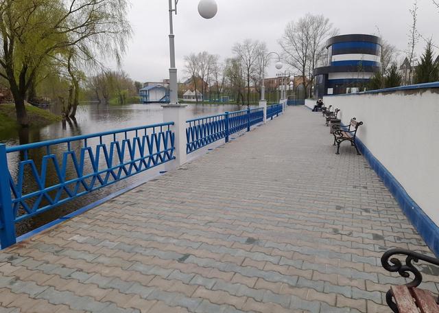 1-кімнатна квартира, вул. Центральна 21 — фото 18