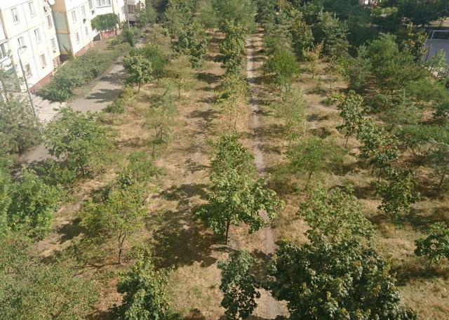 1-кімнатна квартира, вул. Лариси Руденко 21а — фото 5