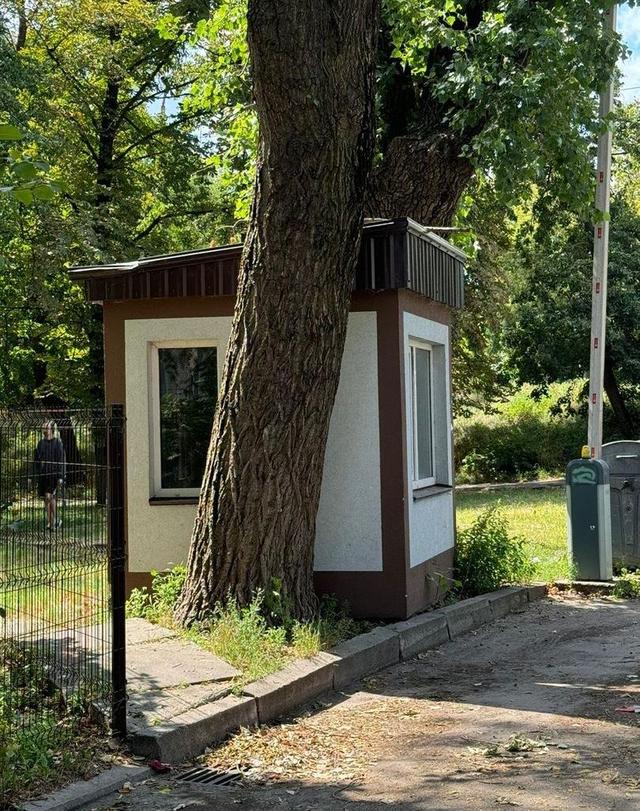 1-кімнатна квартира, вул. Василенка 1 — фото 23