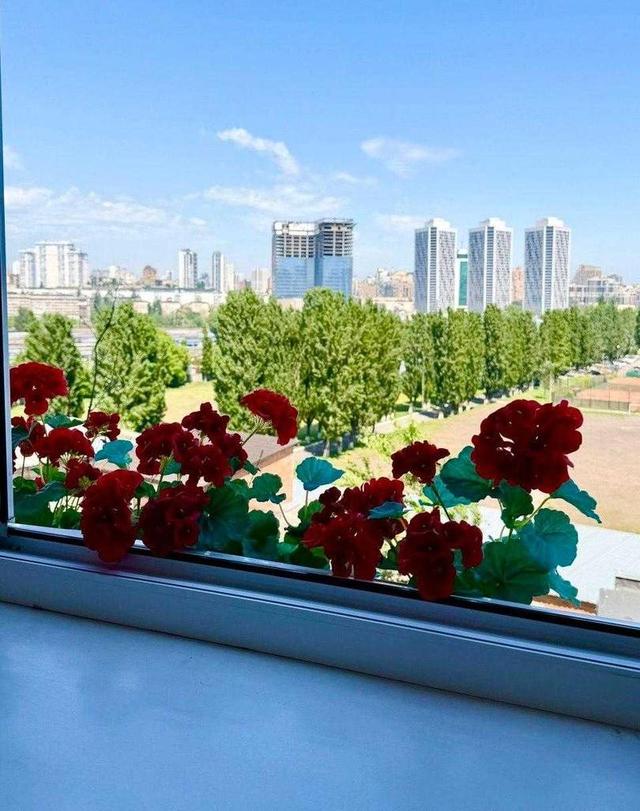 1-кімнатна квартира, вул. Фучика 8 — фото 11