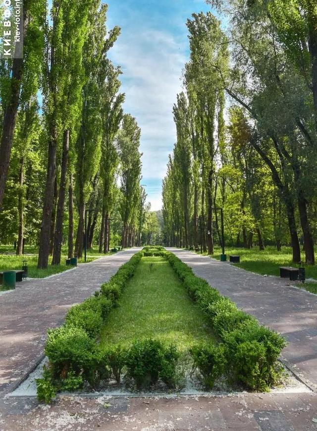 1-кімнатна квартира, вул. Грекова 13 — фото 12