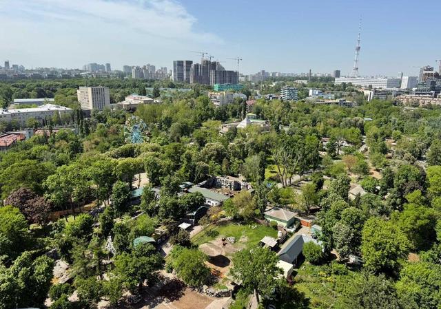 1-кімнатна квартира, Тбіліський пров. 1 — фото 11