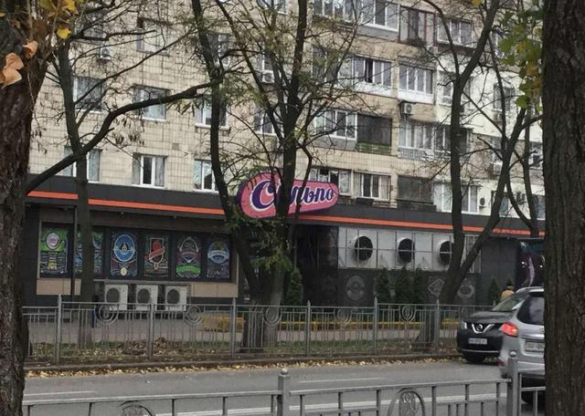 3-кімнатна квартира, на Русанівці — фото 18