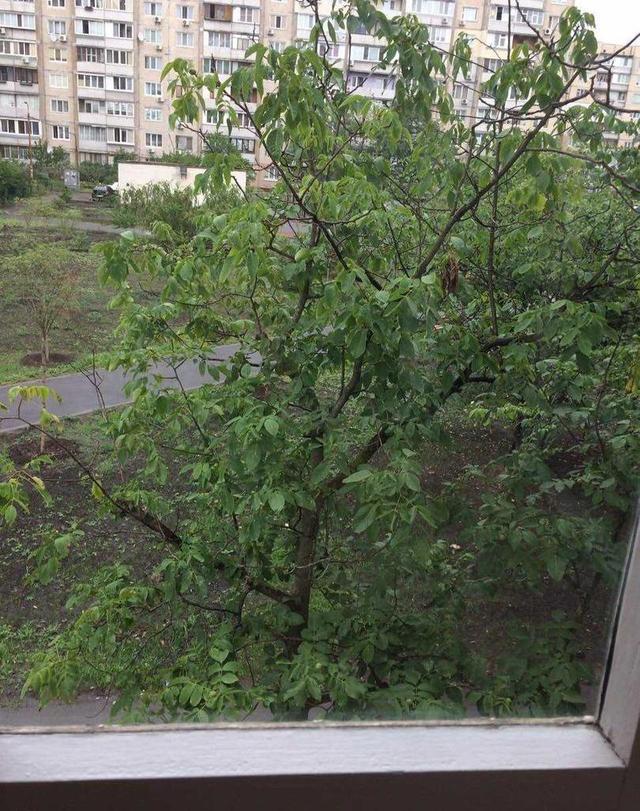 2-кімнатна квартира, вул. Північна 36 — фото 16