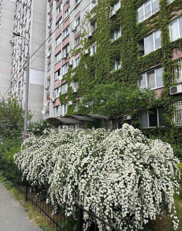 3-кімнатна квартира, вул. Ревуцького 5 — фото 14