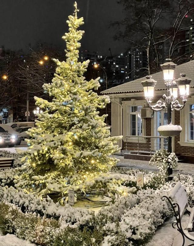 1-кімнатна квартира, біля метро Васильківська — фото 6