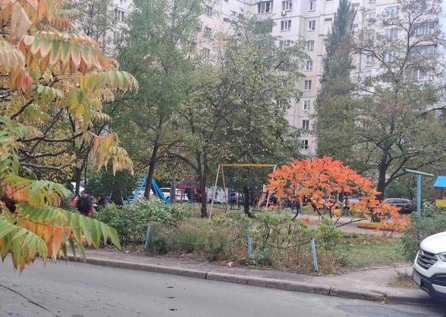 2-кімнатна квартира, вул. Урлівська 1/8 — фото 23