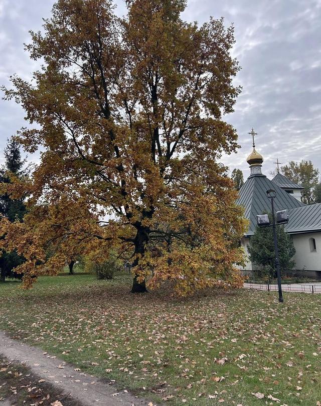 4-кімнатна квартира, вул. Василя Касіяна 2/1 — фото 12